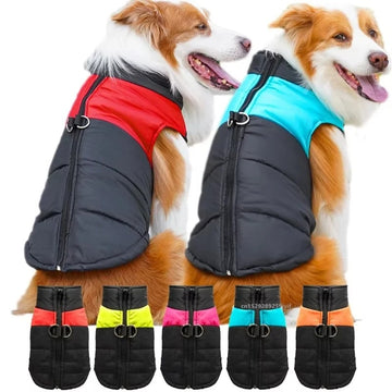 Waterproof Winter Dog Coat – Warm Padded Zip-Up Jacket for Small, Medium & Large Dogs